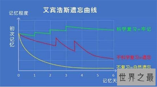 抗遗忘曲线增强记忆力,更能减缓遗忘的速度