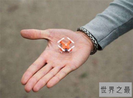 世界上最小型飞行器,小巧便携仅2.2厘米!