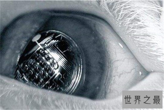 想象不到的十大未来科技,可能会彻底颠覆世界!