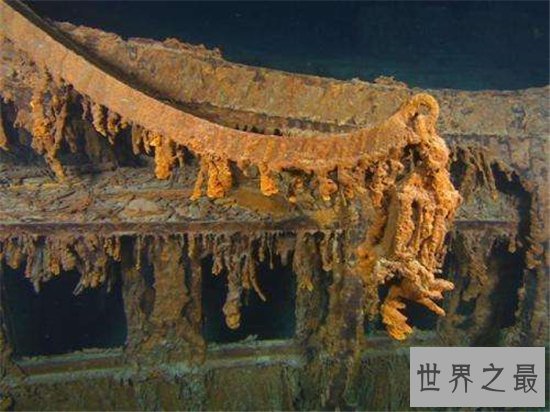 10个关于细菌的奇怪发现,有的细菌竟然可以生产纯金!