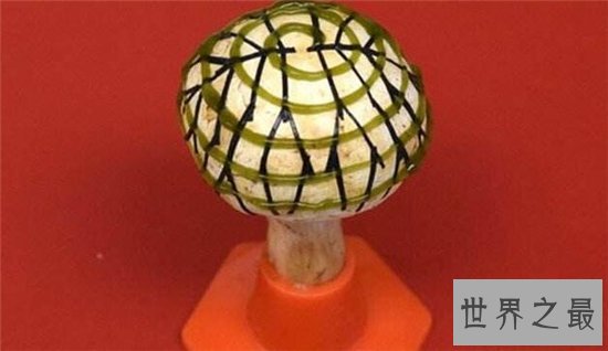 10个关于细菌的奇怪发现,有的细菌竟然可以生产纯金!