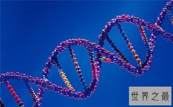 dna双螺旋结构发现者詹姆斯·沃森,被称作DNA之父