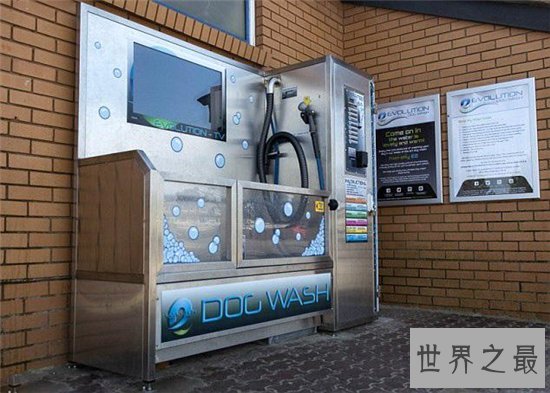 自动洗狗机省去饲养人的麻烦,还比宠物店消费更便宜
