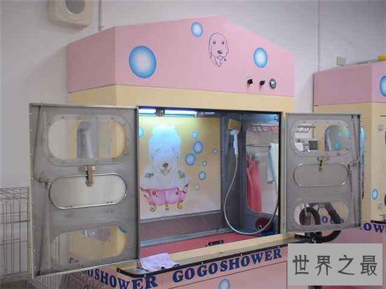 自动洗狗机省去饲养人的麻烦,还比宠物店消费更便宜