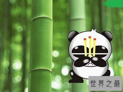 熊猫烧香病毒让人谈之色变,究竟什么来头呢?