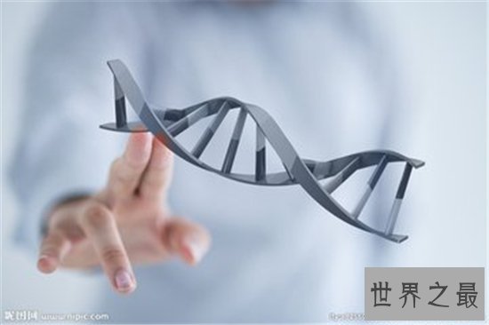 基因检测公司,目前国内最新基因公司排行榜