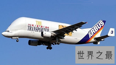 超呆萌白鲸运输机只排第二 世界最大运输机在哪?