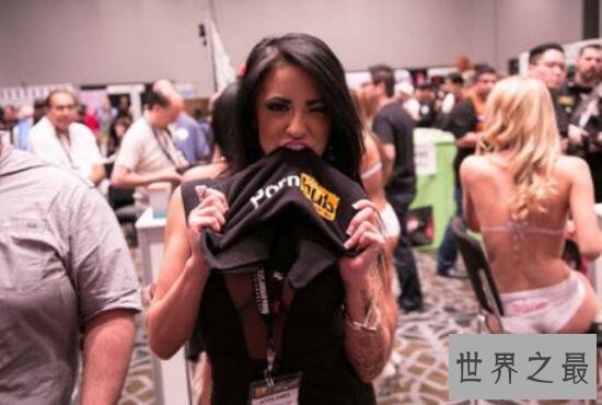 世界最大SEX网站PornHub,一年访问量达230亿次