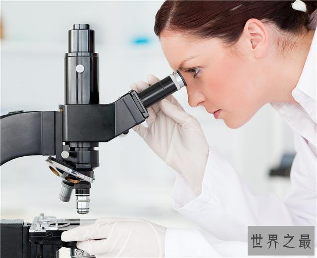 2015十个最重大科学发现,8分钟提升视力3倍