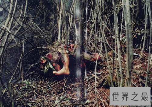 史上死亡人数最多的空难,日本123空难(死520人)