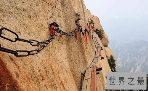 十大跨境大桥排行榜,珠港澳大桥竟然没有上榜