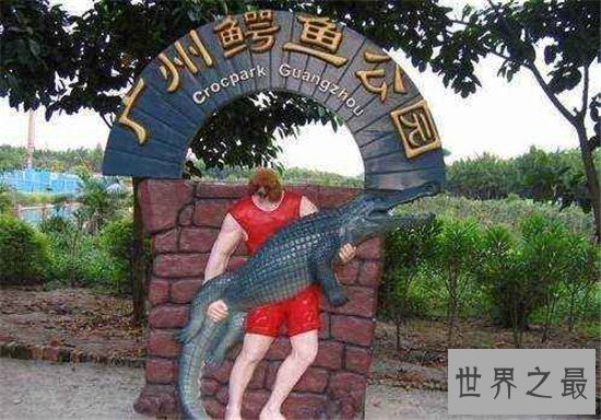 鳄鱼公园已改名飞鸟公园,位于广州长隆主题公园