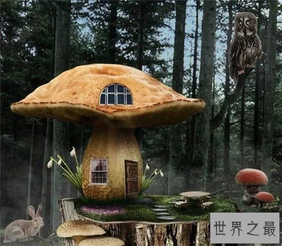 美国10个最奇特的建筑排行,华特迪士尼音乐厅竟仅排第九!