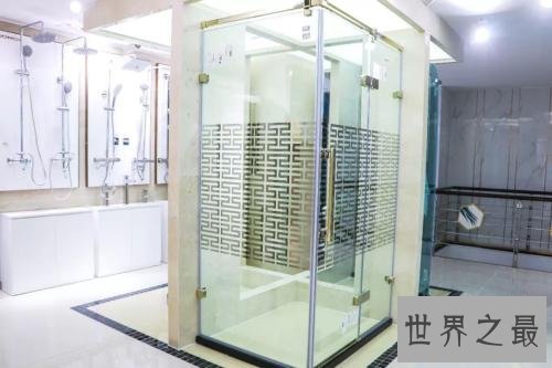 淋浴房十大知名品牌,淋浴房哪个牌子好?