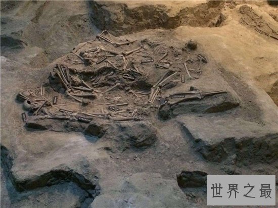 南京大屠杀遇难同胞纪念馆,为了纪念南京大屠杀惨案