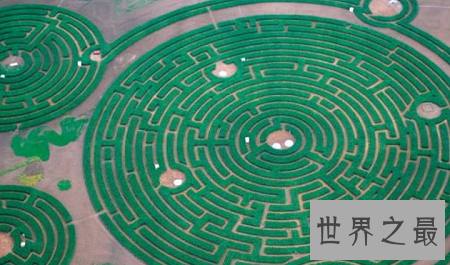 全球十大最梦幻花园迷宫,爱神丘比特来助阵?