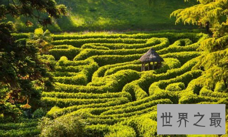 全球十大最梦幻花园迷宫,爱神丘比特来助阵?