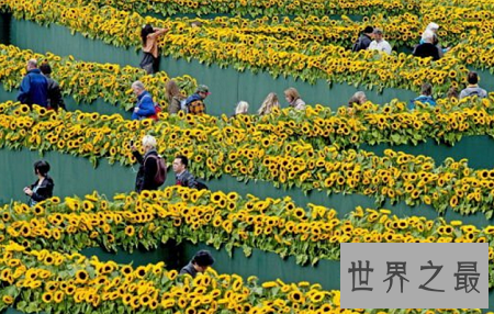 全球十大最梦幻花园迷宫,爱神丘比特来助阵?