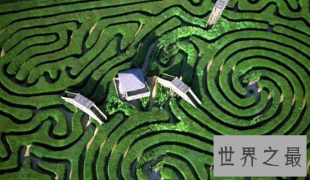 全球十大最梦幻花园迷宫,爱神丘比特来助阵?