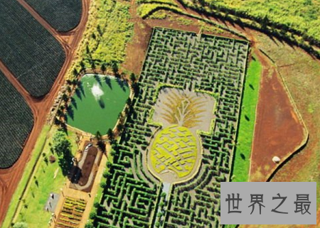 全球十大最梦幻花园迷宫,爱神丘比特来助阵?