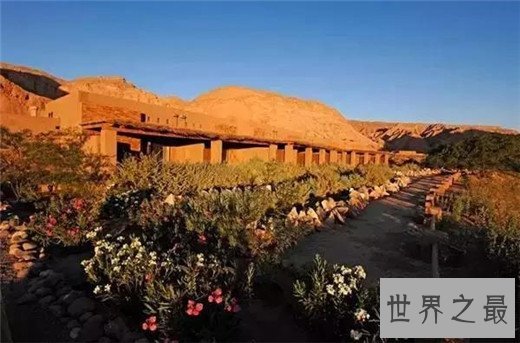 五家沙漠中的奢华酒店,撒在沙漠中的明珠