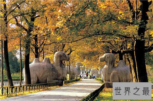 南京二日游不可错过的地点,两天玩遍全南京