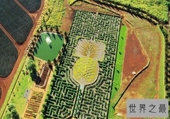 世界最难迷宫盘点,你一辈子都走不出去