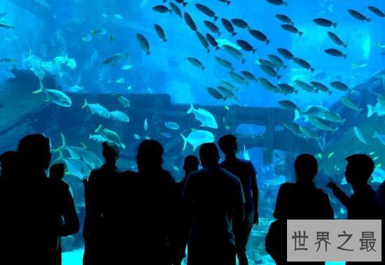 世界最大室内海洋展馆,永泰海洋极地世界(耗资10亿)