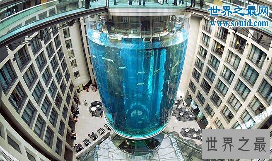 世界上最奇特的电梯,建在巨型鱼缸中的电梯