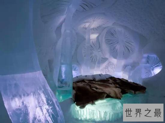 世界上最另类最创意的酒店,住一晚“醉生梦死”