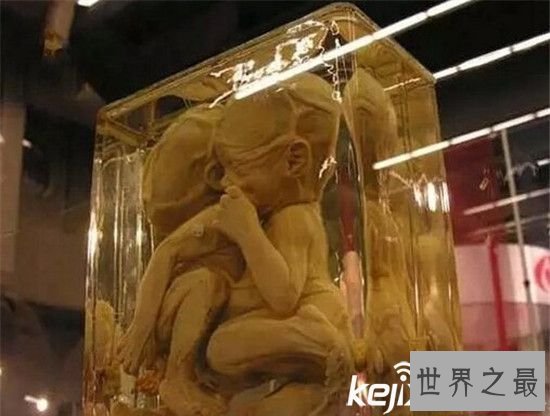 世界上最恐怖的博物馆,男尸女士满地堆(重口味)