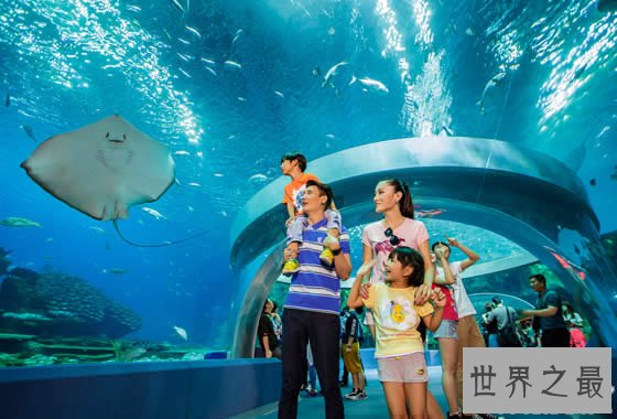 世界上最大的水族馆,珠海长隆海洋王国(门票350元)