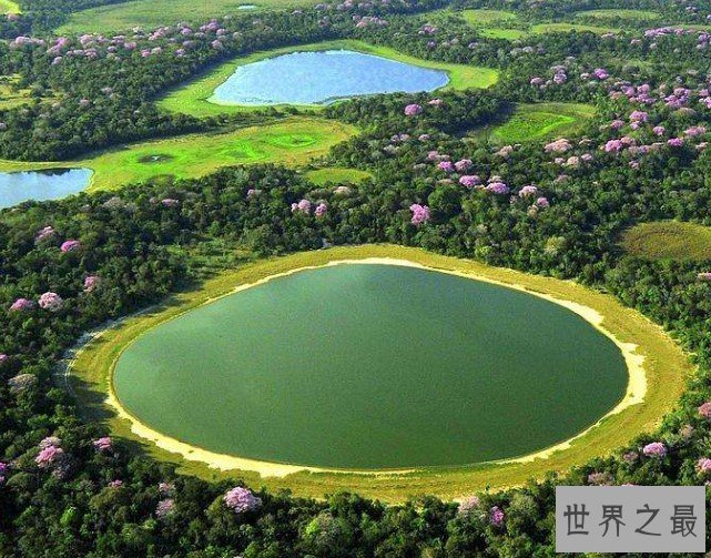 世界最大的湿地,面积达2500万公顷