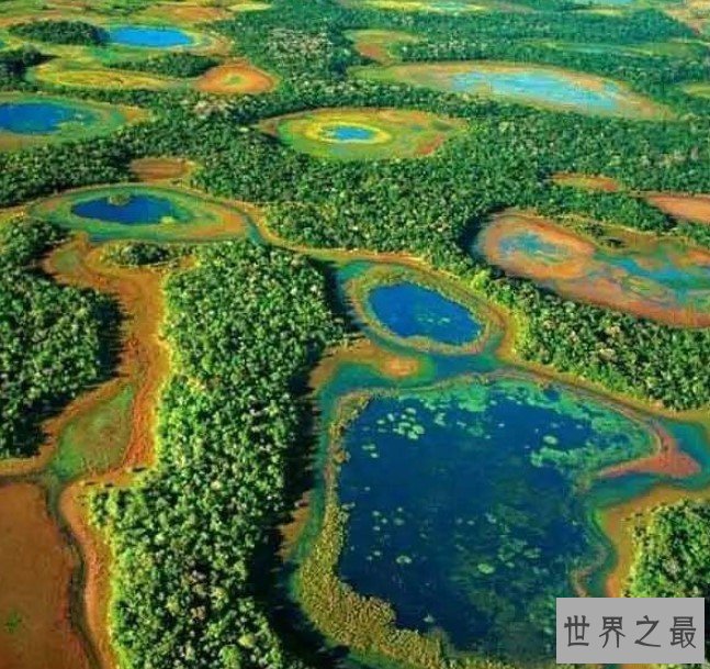 世界最大的湿地,面积达2500万公顷