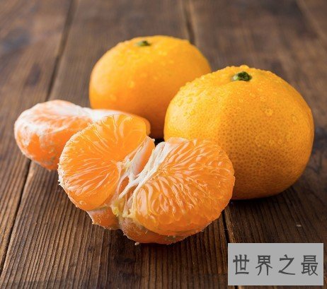 世界上最大的桔子,重达五斤的超大桔子