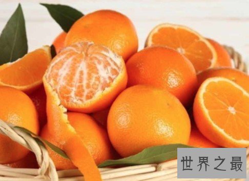 世界上最大的桔子,重达五斤的超大桔子