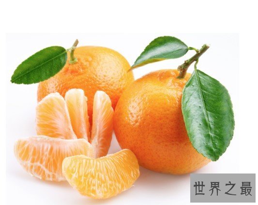 世界上最大的桔子,重达五斤的超大桔子