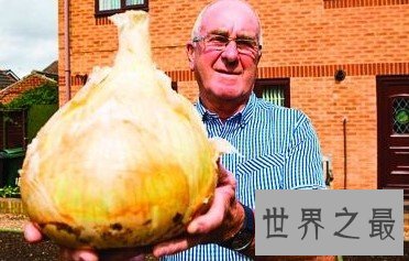 世界最大的洋葱,重达7.7公斤