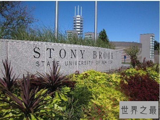 世界上规模最大的大学,竟然是纽约州立大学!