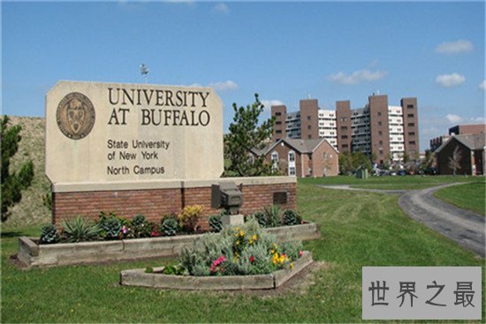世界上规模最大的大学,竟然是纽约州立大学!