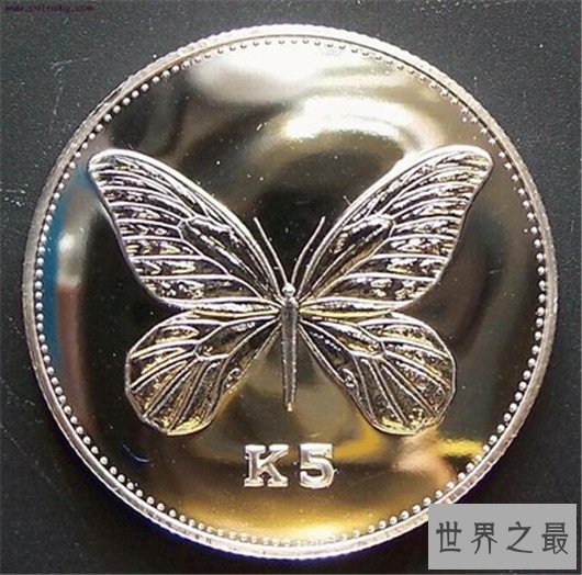 世界上最大的虫子，名字听起来就很高级