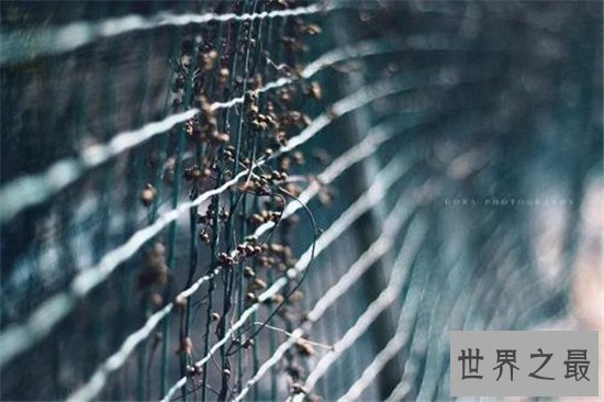 世界上最大的物品,那种“大”你绝对想象不到!