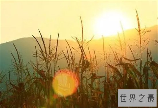 世界上最大的物品,那种“大”你绝对想象不到!