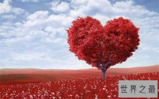 世界上最大的物品,那种“大”你绝对想象不到!
