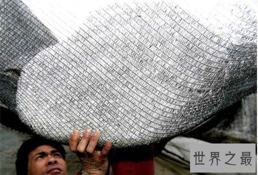 世界上最大冰雹,内蒙曾下3米巨型冰雹