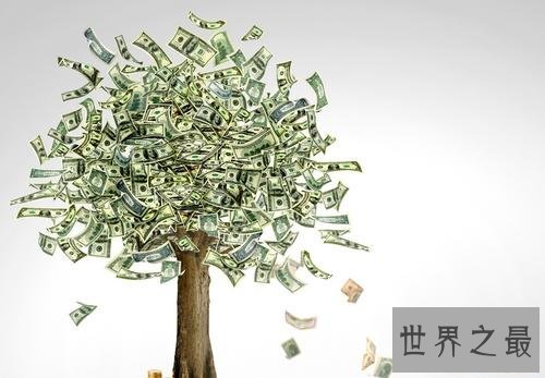 世界上最大的摇钱树,有密集恐惧症的人别看!