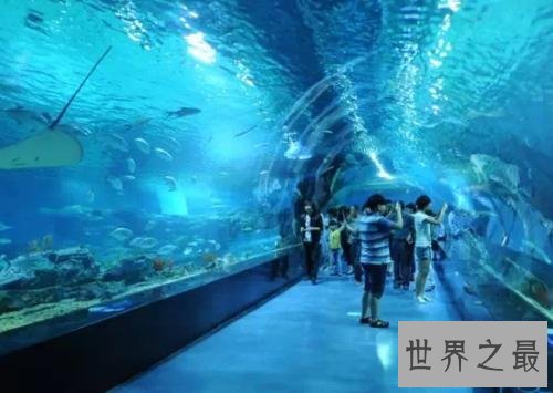 世界上最大室内海洋展馆,占地200多亩!