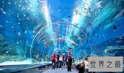 世界上最大室内海洋展馆,占地200多亩!