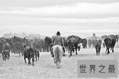 世界上最大的人口迁移,叙利亚难民危机1.58亿人口大迁移!