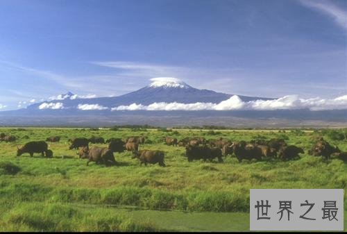 世界上最大的高原,500多万平方千米的巴西高原世界最大